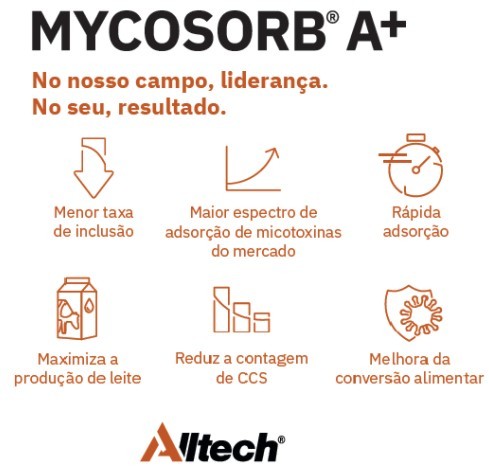 Mycosorb A+ 