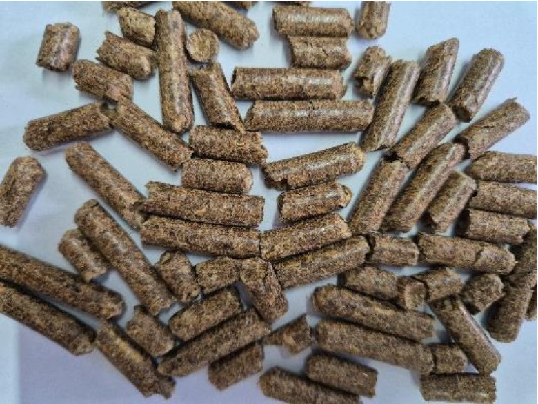 Polpa Citrica Peletizada 